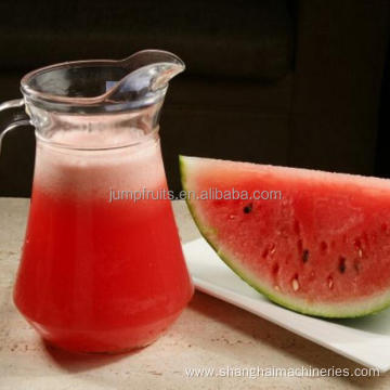 100% pure watermelon juice processing machines